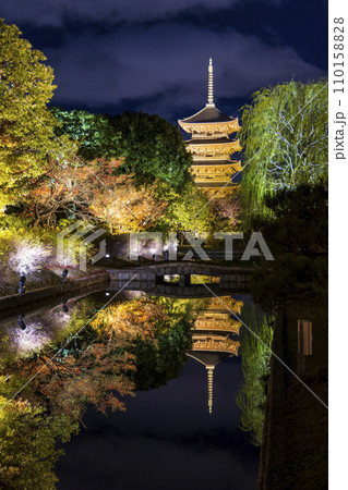 紅葉シーズン 夜のライトアップ (京都 東寺) 110158828