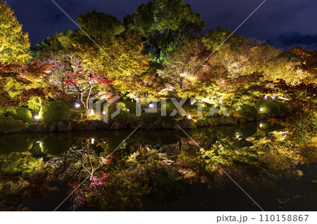 紅葉シーズン 夜のライトアップ (京都 東寺) 紅葉シーズン 夜のライトアップ (京都 東寺) 110158867