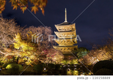 紅葉シーズン 夜のライトアップ (京都 東寺) 紅葉シーズン 夜のライトアップ (京都 東寺) 110158889