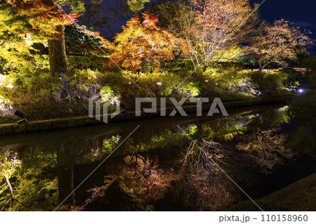 紅葉シーズン 夜のライトアップ (京都 東寺) 110158960
