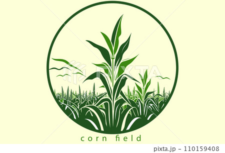 Corn plantation. Vector illustration of sweet corn sprouting in field Corn plantation. Vector illustration of sweet corn sprouting in field 110159408