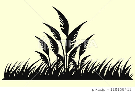 Corn plantation. Vector illustration of sweet corn sprouting in field 110159413
