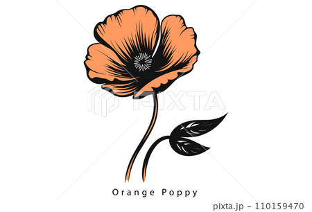 California Poppy, California Poppy Vector, Poppy Flower, Poppies Vector, Pretty Flower Vector, California Poppy, California Poppy Vector, Poppy Flower, Poppies Vector, Pretty Flower Vector, 110159470