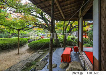 秋の松風園 秋の松風園 110160588