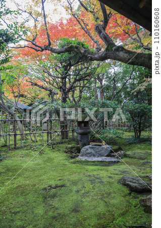 秋の松風園 秋の松風園 110160608
