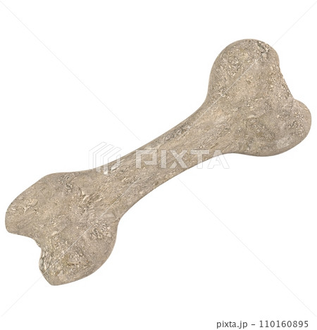 Dog Bone isolated on white background 110160895