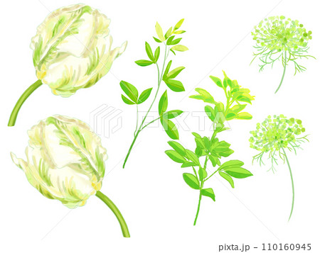 緑のチューリップの花 110160945