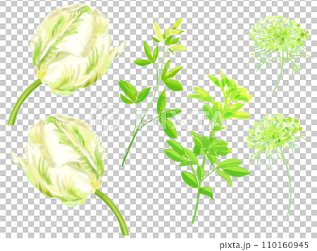 緑のチューリップの花 110160945