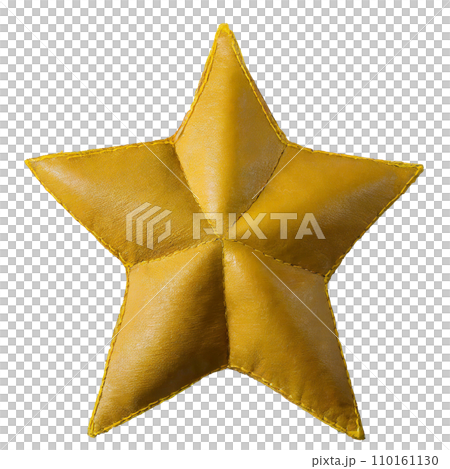 革素材のスター 110161130