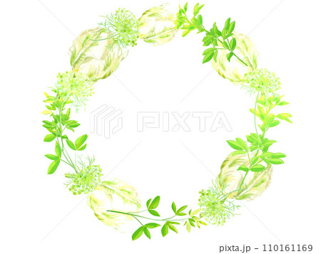 白い花と緑のリース 白い花と緑のリース 110161169