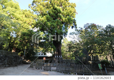 2023年9月の茨城県の筑波山の筑波山神社 2023年9月の茨城県の筑波山の筑波山神社 110162603