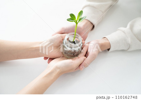 新芽がコインの山から成長する資産運用コンセプト 新芽がコインの山から成長する資産運用コンセプト 110162748