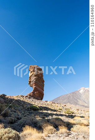 Teide nature reserve Teide nature reserve 110164960