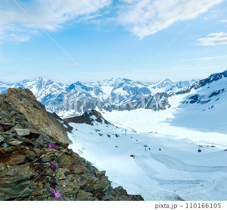 Alp flowers and ski lift Alp flowers and ski lift 110166105