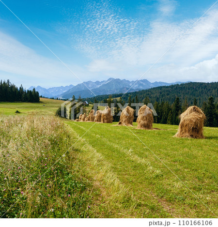 Summer mountain country view Summer mountain country view 110166106