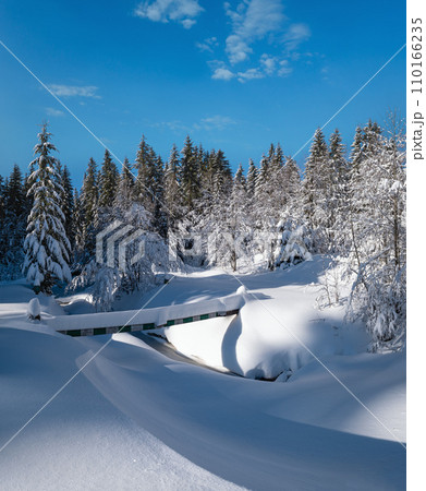 Alpine mountain snowy winter fir forest with snowdrifts and frozen small stream Alpine mountain snowy winter fir forest with snowdrifts and frozen small stream 110166235