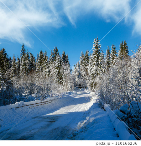 Secondary countryside alpine road to remote mountain hamlet through snowy fir forest, snow drifts and wood fence on wayside Secondary countryside alpine road to remote mountain hamlet through snowy fir forest, snow drifts and wood fence on wayside 110166236