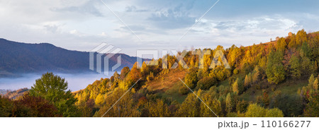 Foggy early morning autumn mountains scene. Peaceful picturesque traveling, seasonal, nature and countryside beauty concept scene. Carpathian Mountains, Ukraine. 110166277