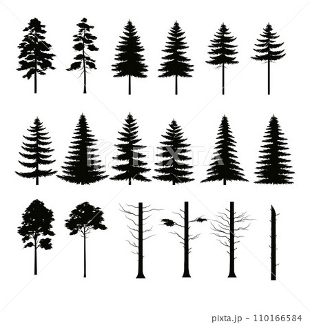 Silhouette of Trees Silhouette of Trees 110166584