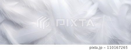 白い羽毛。柔らかい質感と保温性は寝具や衣類に適し睡眠と健康をサポートする。AI生成画像 白い羽毛。柔らかい質感と保温性は寝具や衣類に適し睡眠と健康をサポートする。AI生成画像 110167265