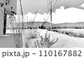 夏の田舎道 110167882