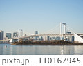 お台場とレインボーブリッジ 110167945
