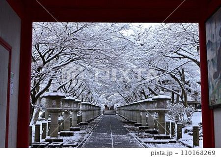 冬の高山寺 110168269