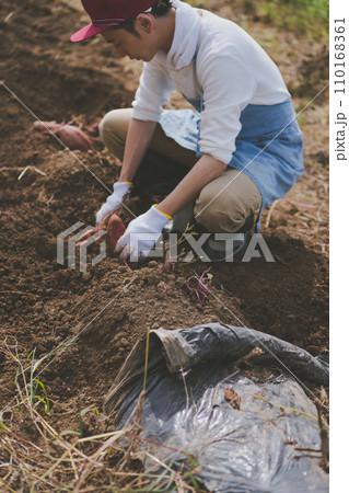 vegetable field 110168361