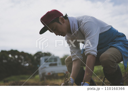 vegetable field 110168366