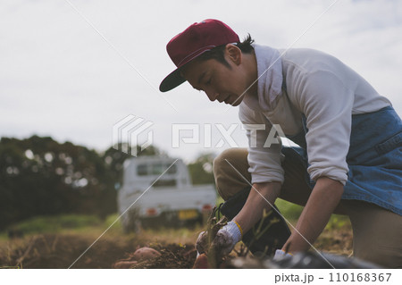 vegetable field 110168367