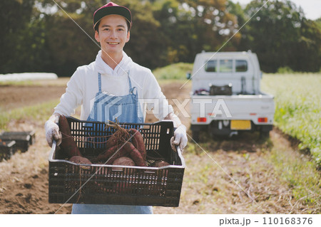 vegetable field 110168376