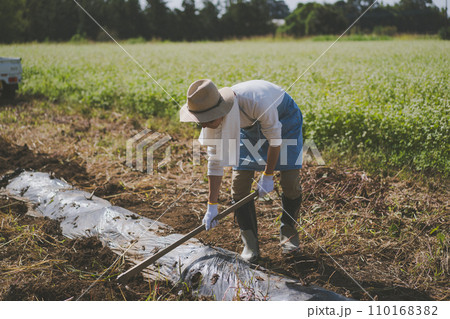vegetable field 110168382