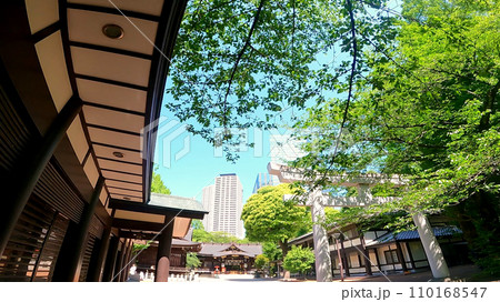 十二社熊野神社 日本、東京、新宿区。新宿中央公園そばの自然あふれる神社 十二社熊野神社 日本、東京、新宿区。新宿中央公園そばの自然あふれる神社 110168547