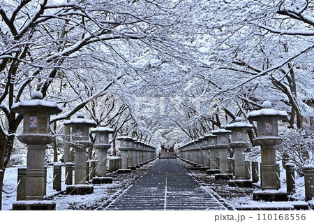冬の高山寺 冬の高山寺 110168556