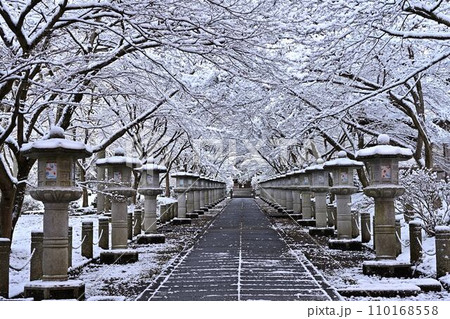冬の高山寺 110168558