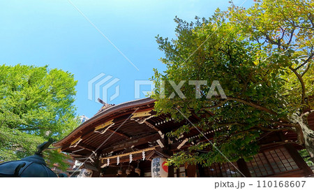 十二社熊野神社 日本、東京、新宿区。新宿中央公園そばの自然あふれる神社 110168607