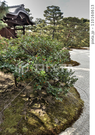 建仁寺の大雄苑 110168613