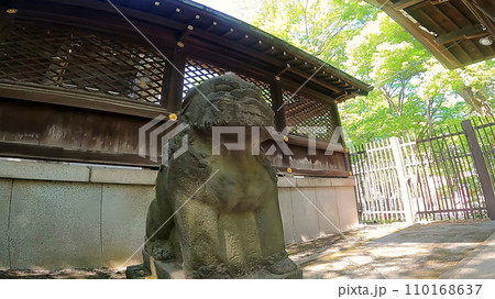 十二社熊野神社 日本、東京、新宿区。新宿中央公園そばの自然あふれる神社 110168637