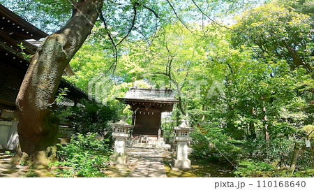 十二社熊野神社 日本、東京、新宿区。新宿中央公園そばの自然あふれる神社 110168640