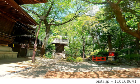 十二社熊野神社 日本、東京、新宿区。新宿中央公園そばの自然あふれる神社 110168641