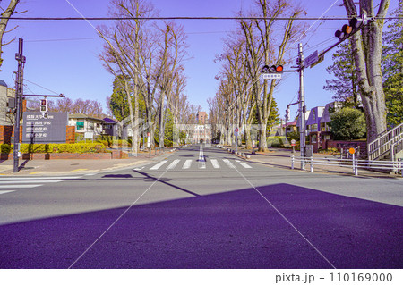 成蹊大学 成蹊大学 110169000