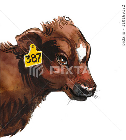 Cute calf head. Ink and watercolor sketch Cute calf head. Ink and watercolor sketch 110169122