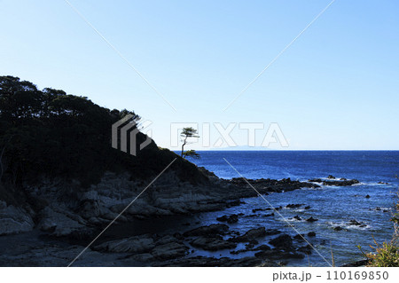 海の見える県立荒崎公園の冬 110169850