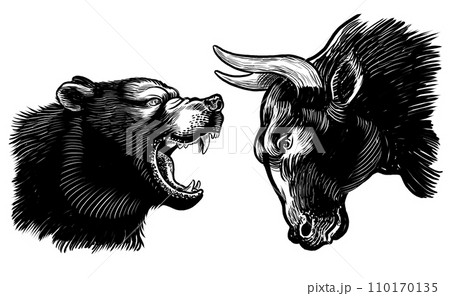 Bear and bull fighting. Hand-drawn black and white illustration	 110170135