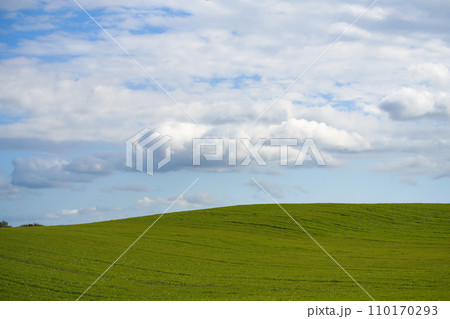 北海道の牧草地と青い空に白い雲 110170293