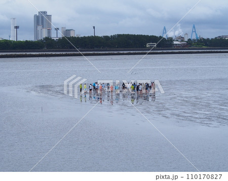 名古屋 藤前干潟 名古屋 藤前干潟 110170827