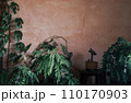 赤い壁と緑 110170903
