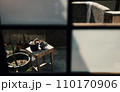 日本の窓 110170906