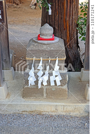 坂戸神社(坂戸) 坂戸神社(坂戸) 110171241