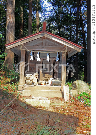 星宮神社(入間) 星宮神社(入間) 110171315